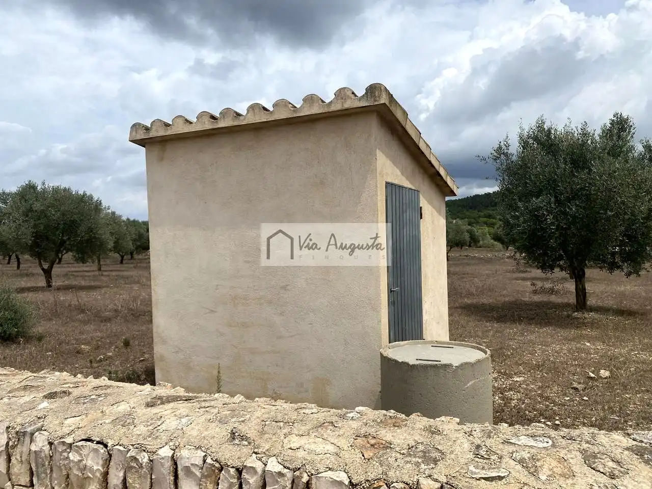 Terreno rustico in vendita a Burga, imagen 17
