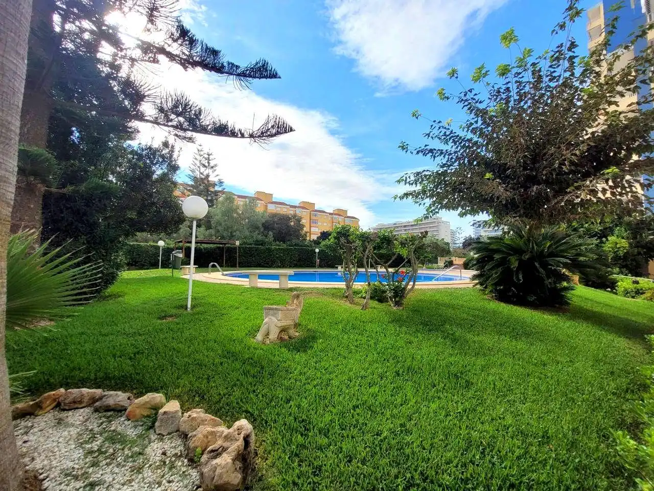 Piscina de Apartament de lloguer en Gandia amb Terrassa, Moblat i Piscina comunitària