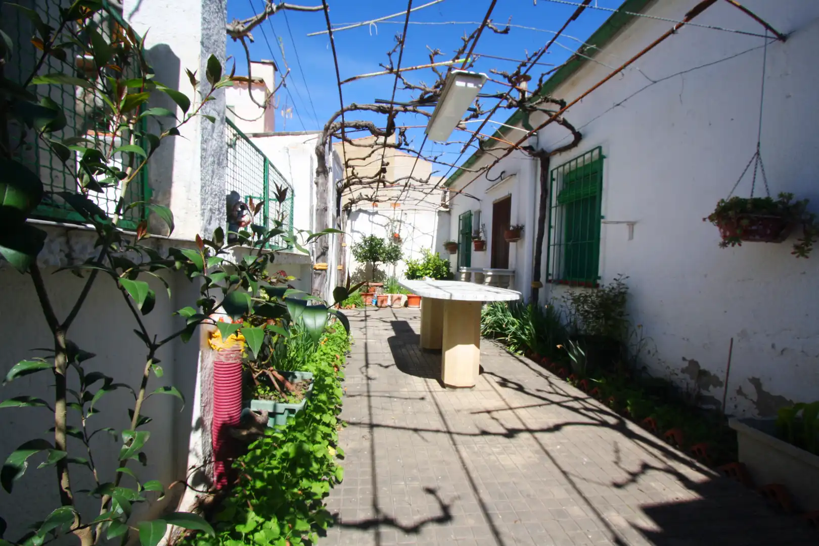 Vista exterior de Casa o chalet en venta en Albacete con Calefacción, Jardín privado y Terraza