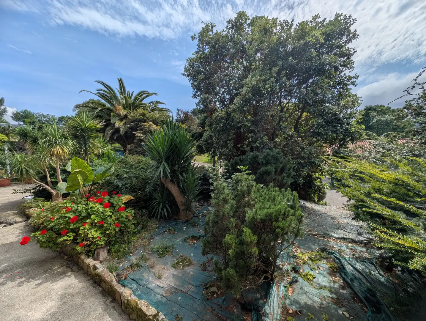 Casa o chalet en venta en Ampuero - LA BIEN APARECIDA, 60, Ampuero