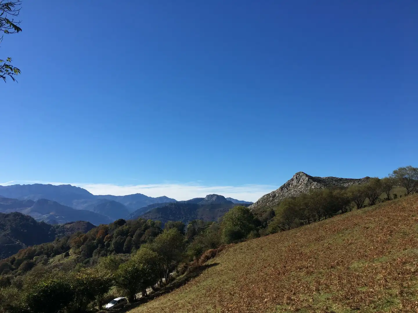 Terreno rustico in vendita a Cangas de Onís, imagen 11