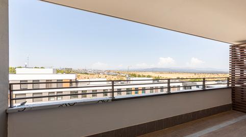 Photo 3 of Apartment to rent in Calle Acanto, Marazuela - El Torreón, Las Rozas de Madrid