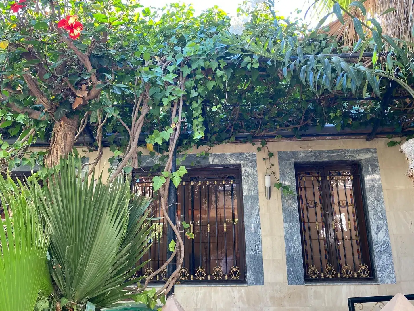 Vista exterior de Casa o chalet en venta en Murcia con Aire acondicionado, Jardín privado y Terraza