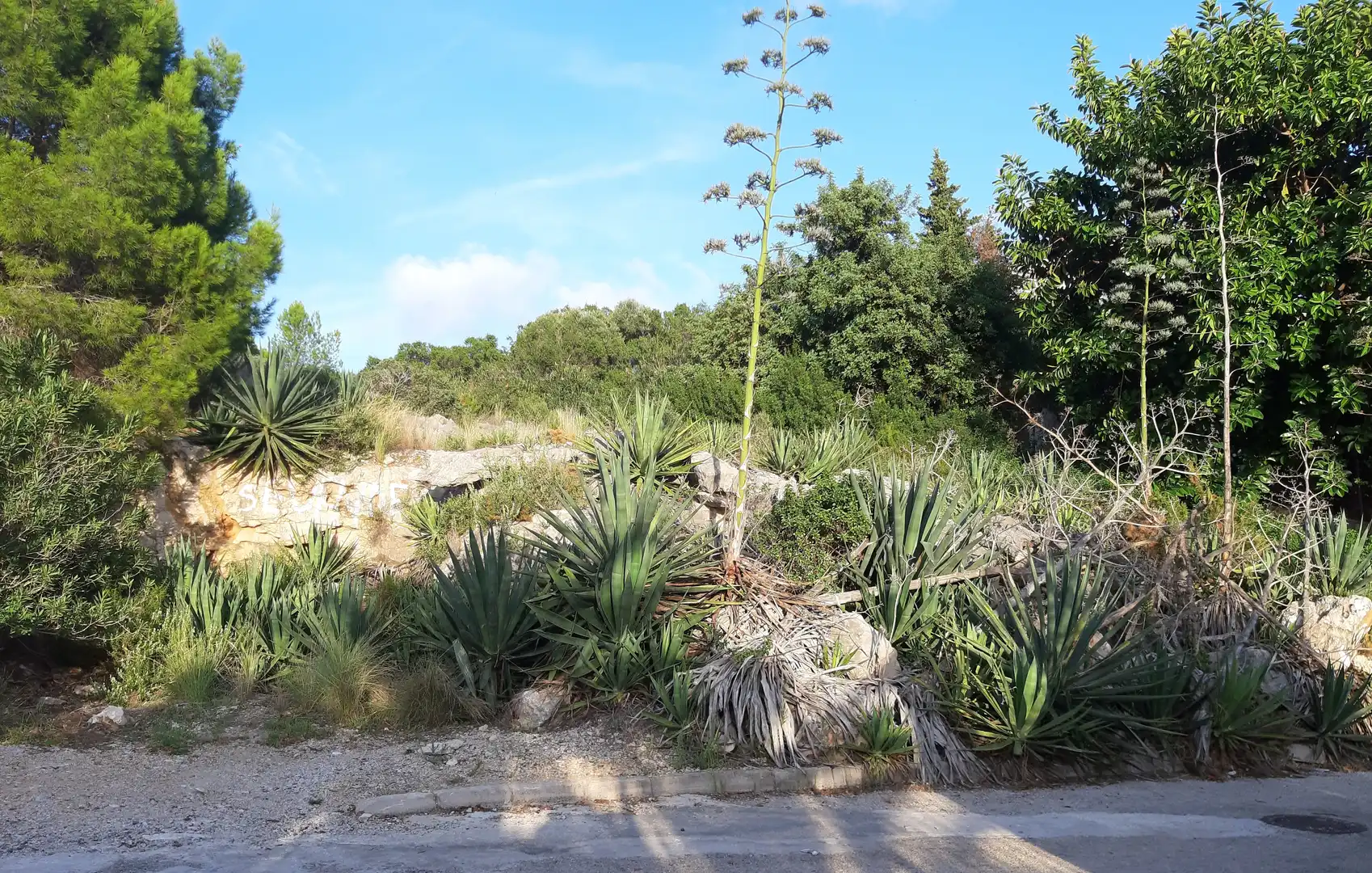 Terreno residencial en venta en Urbanización Santa Marta 38, imagen 8