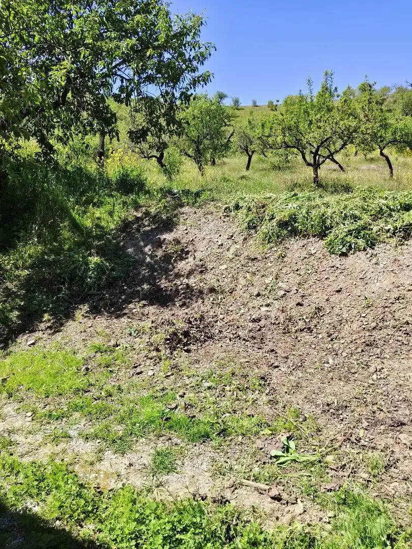 Finca rústica en venta en Albondón con Jardín privado, Trastero y Amueblado