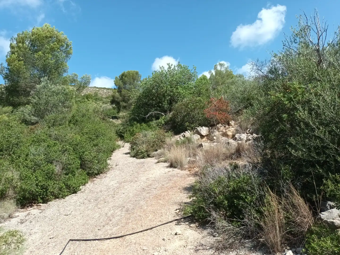 Terreno en venta en Benigànim