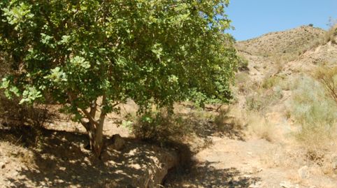 Foto 4 de Residencial en venda a Cártama, Málaga