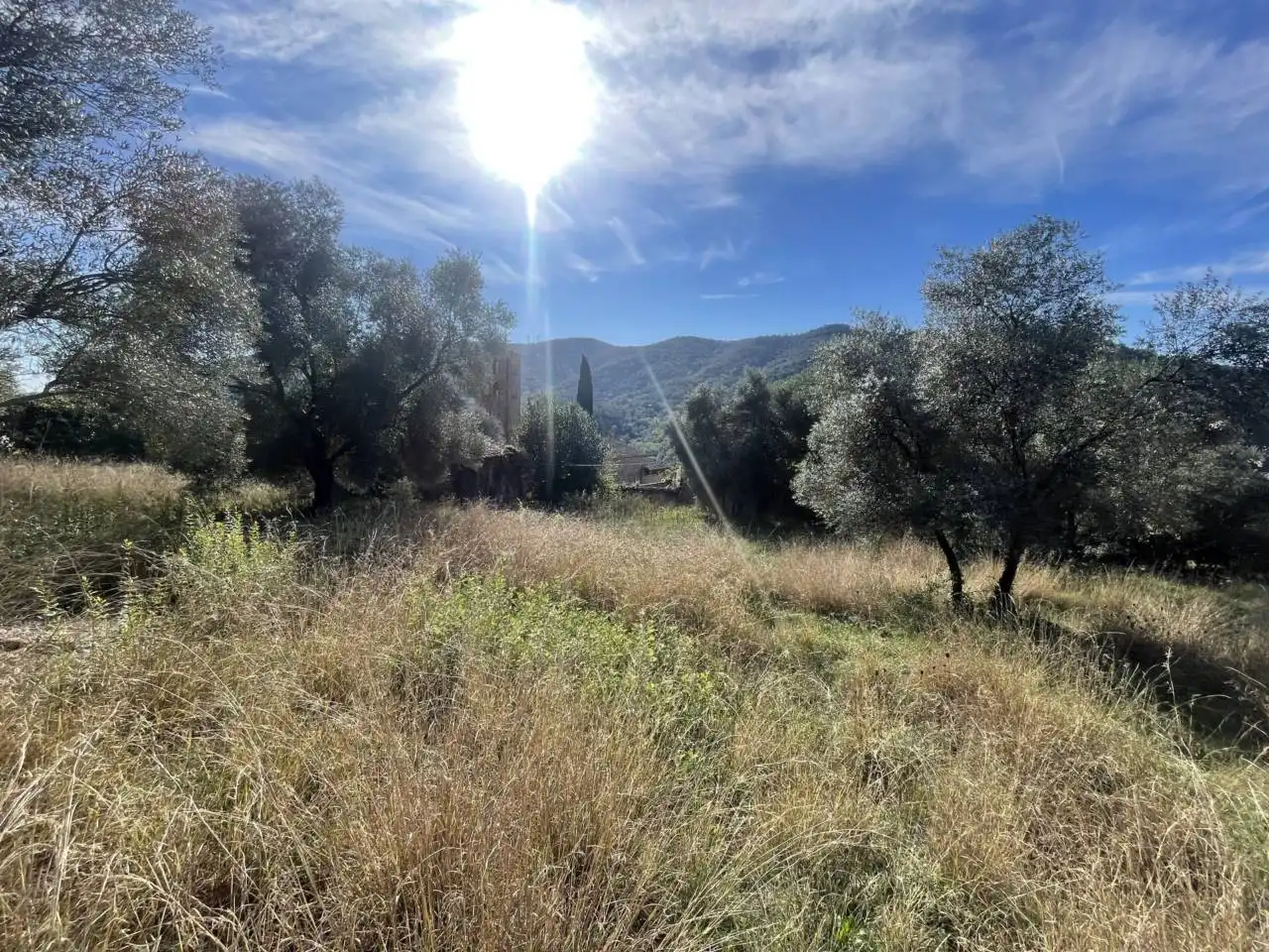 Terreny residencial en venda a Calle olivet del veinat