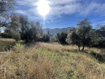 Wohnbaugrundstück zum Verkauf in Calle olivet del veinat
