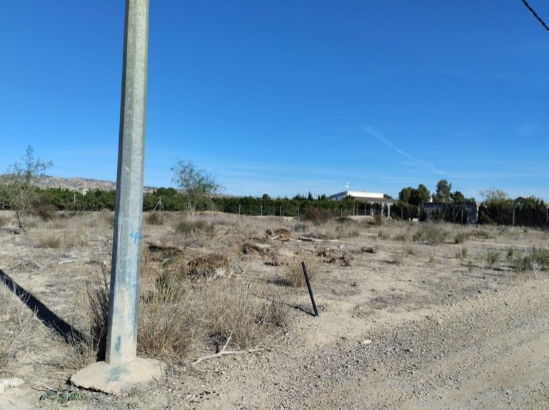 Land for sale in Librilla