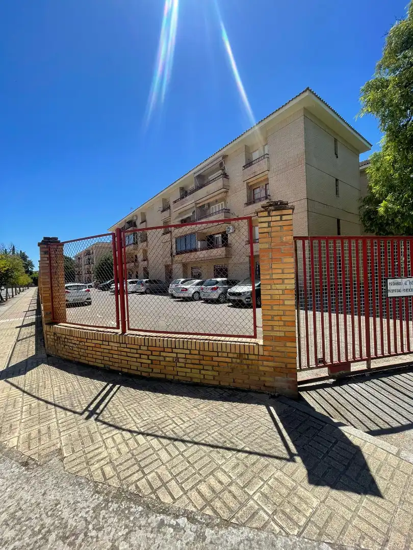 Piso con terraza en venta en Avenida Cruz Roja 8d