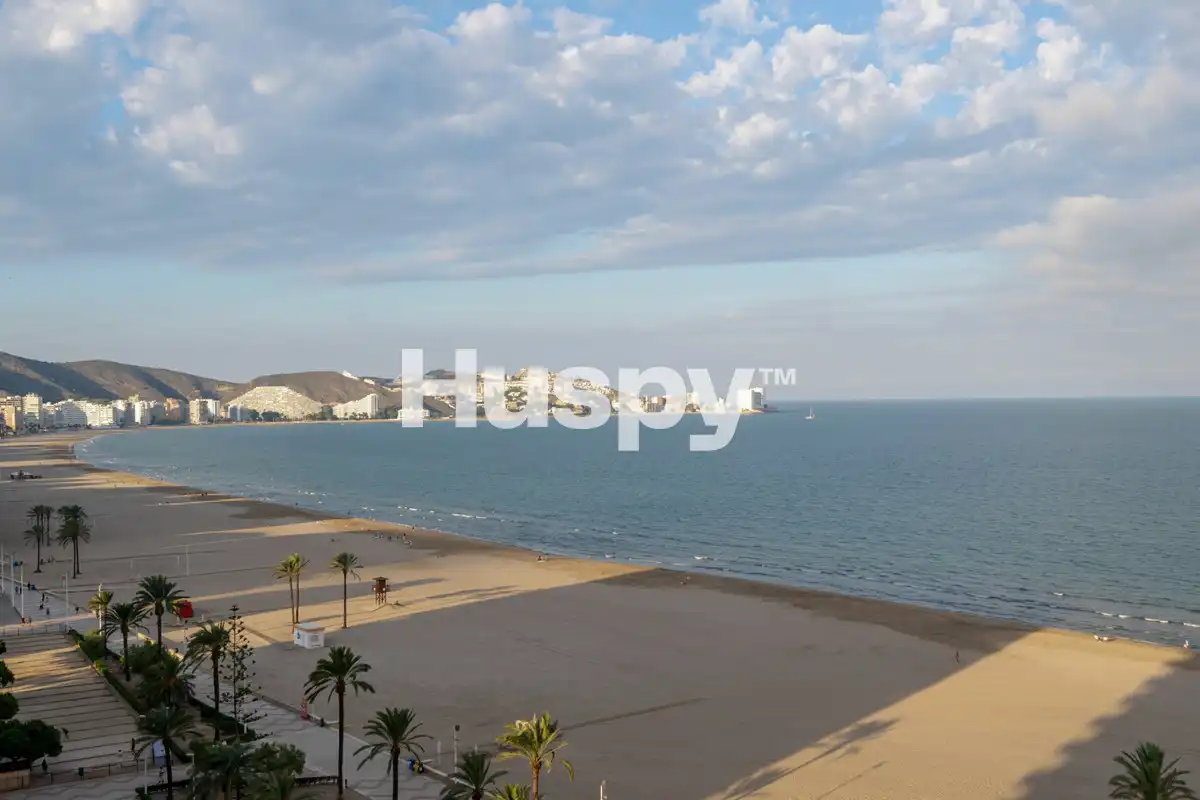 Wohnung mit Balkon zum Verkauf in Avinguda Alacant, imagen 26