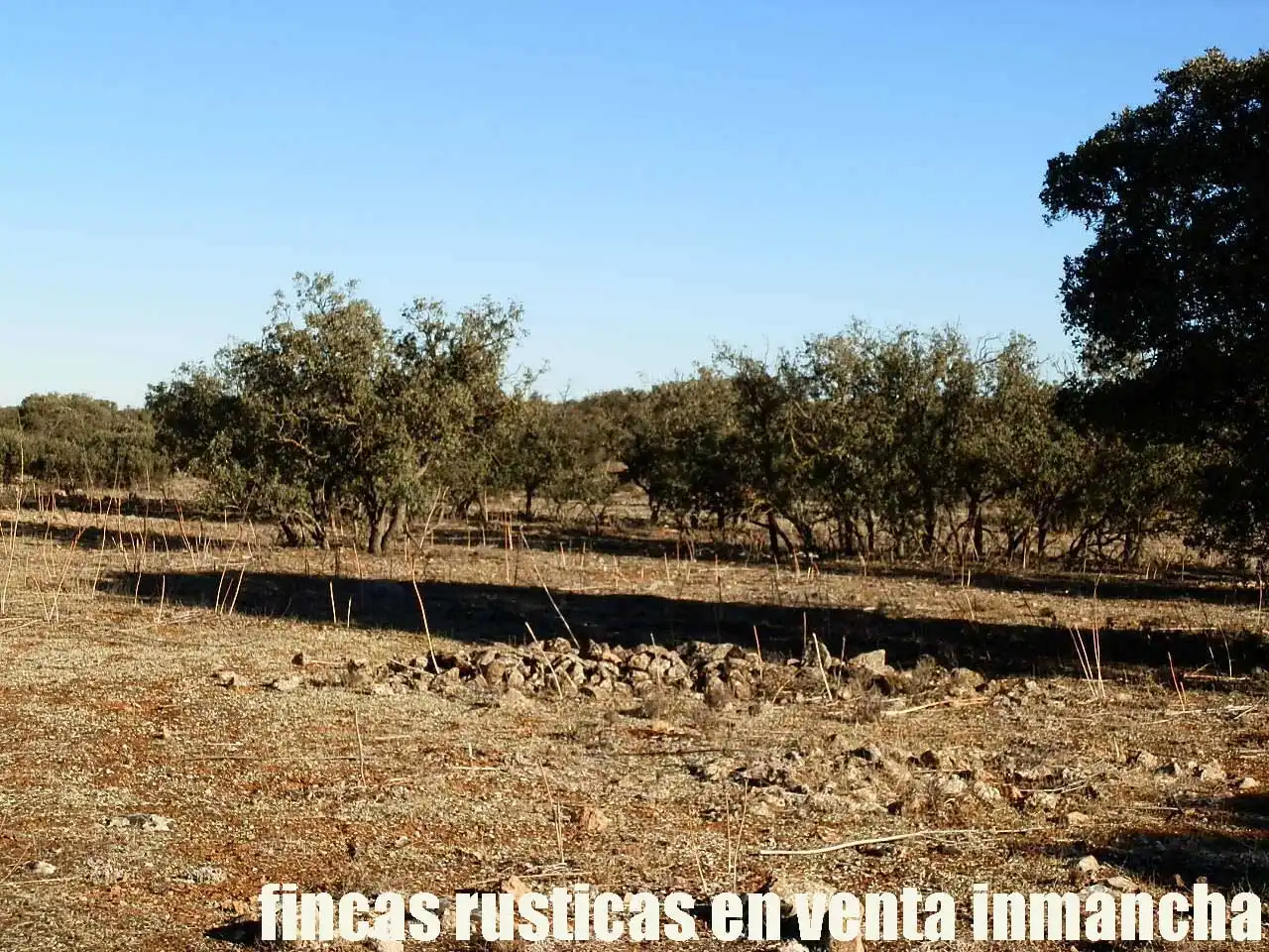 Terreni e lotti in vendita a Quintanar de la Orden, imagen 6
