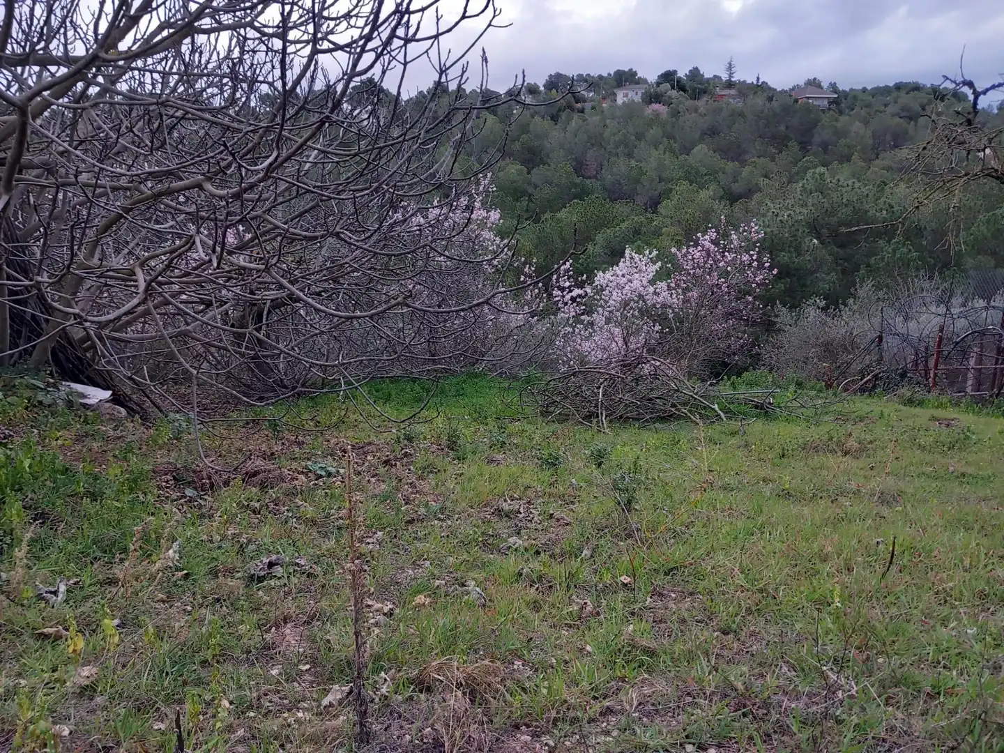 Residential land for sale in Torrelles de Foix, imagen 2