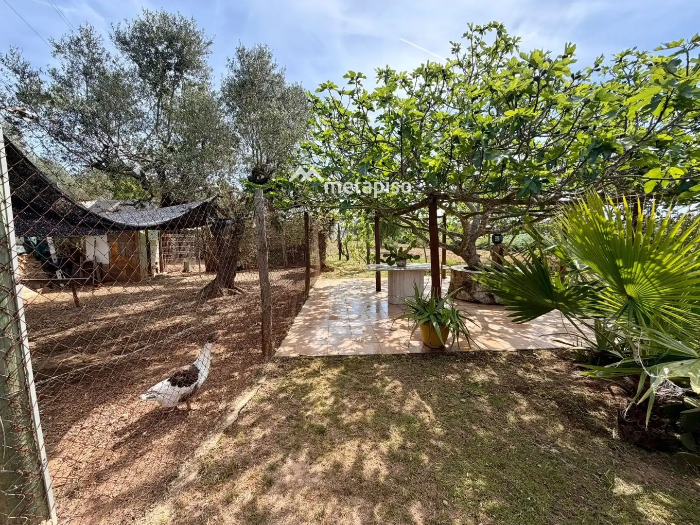 Terreno rustico in vendita a Santa Oliva, imagen 39