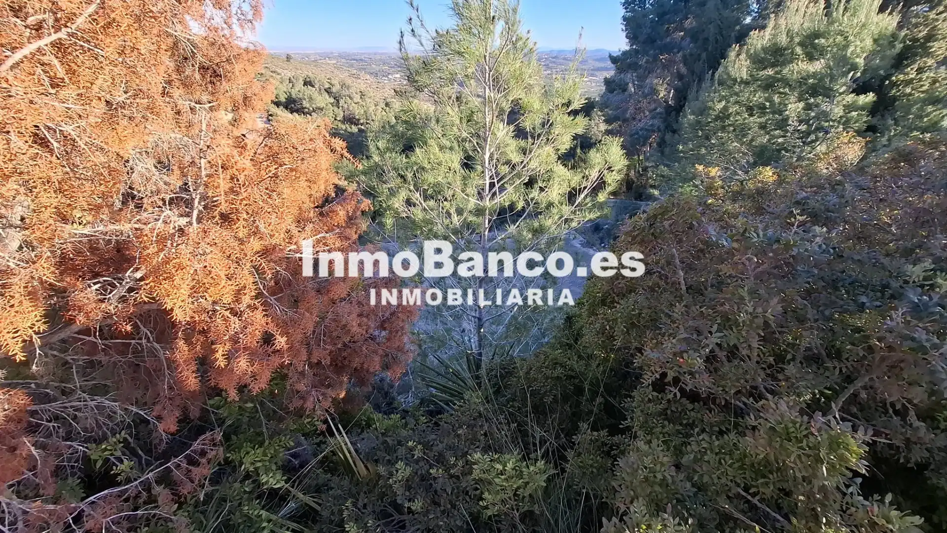 Residential land for sale in Calle Félix Pizcueta 67, imagen 30