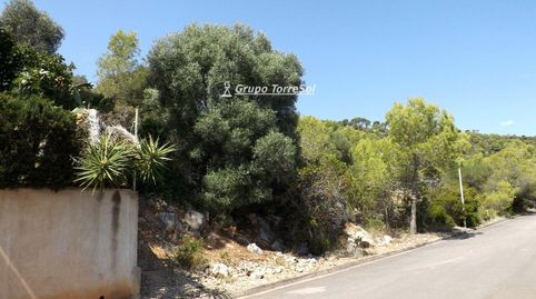 Esta exclusiva parcela de 613 m es el escenario ideal para quienes buscan transformar sus sueños en una realidad de absoluta calma, imatge 3