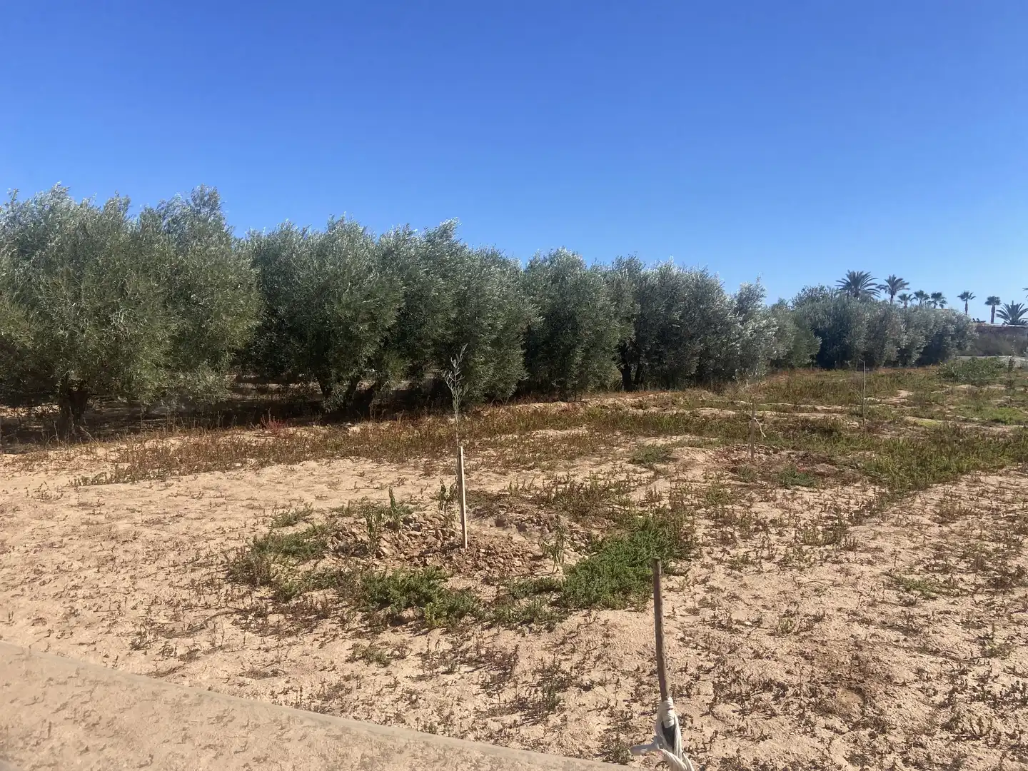 Land for sale in Cartagena