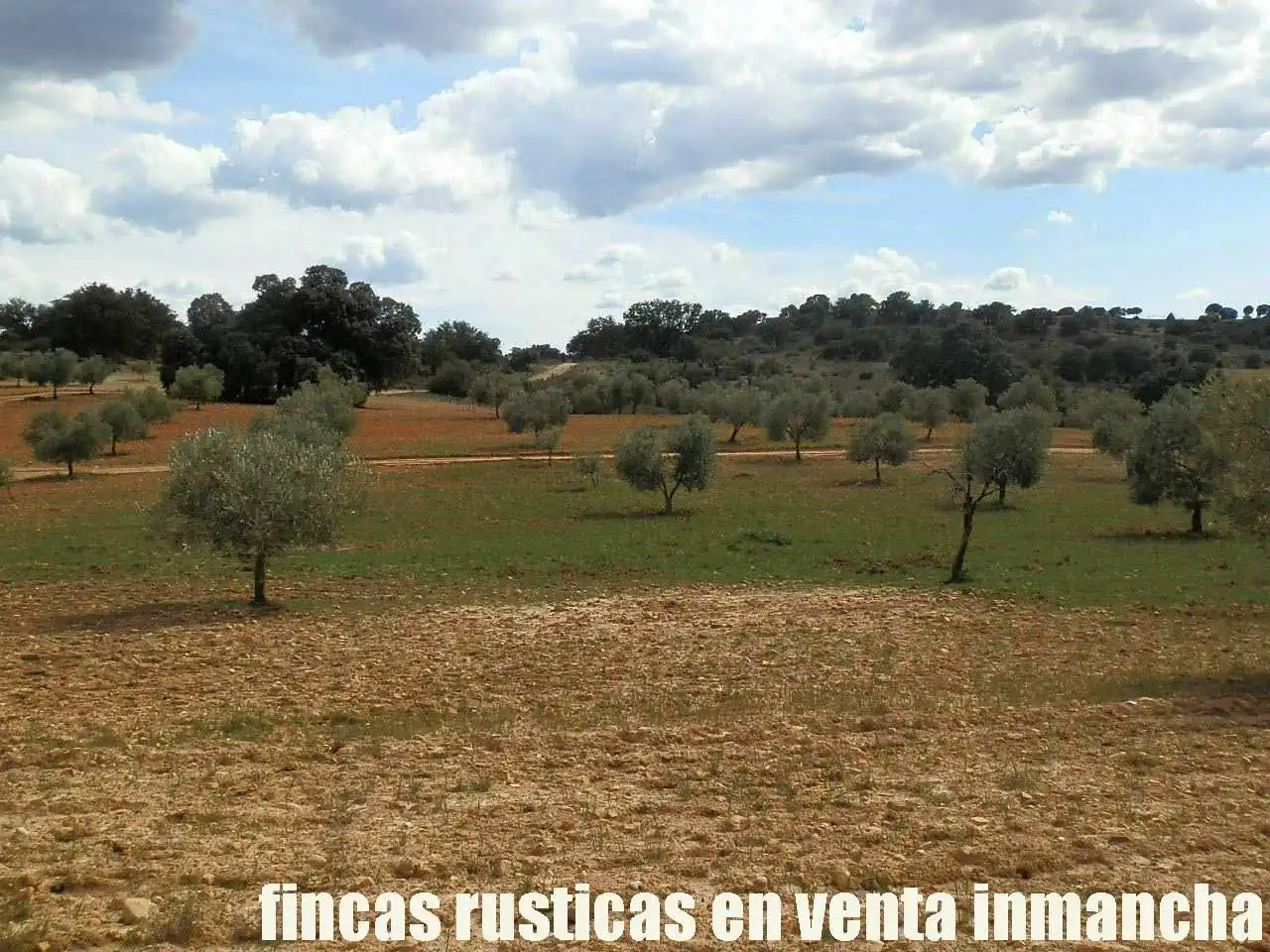 Terreni e lotti in vendita a Balazote, imagen 12