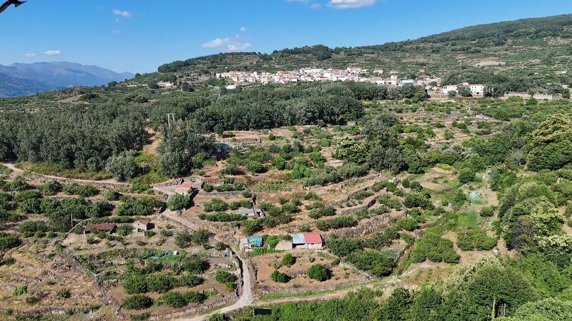 Residencial en venda en Casas del Castañar
