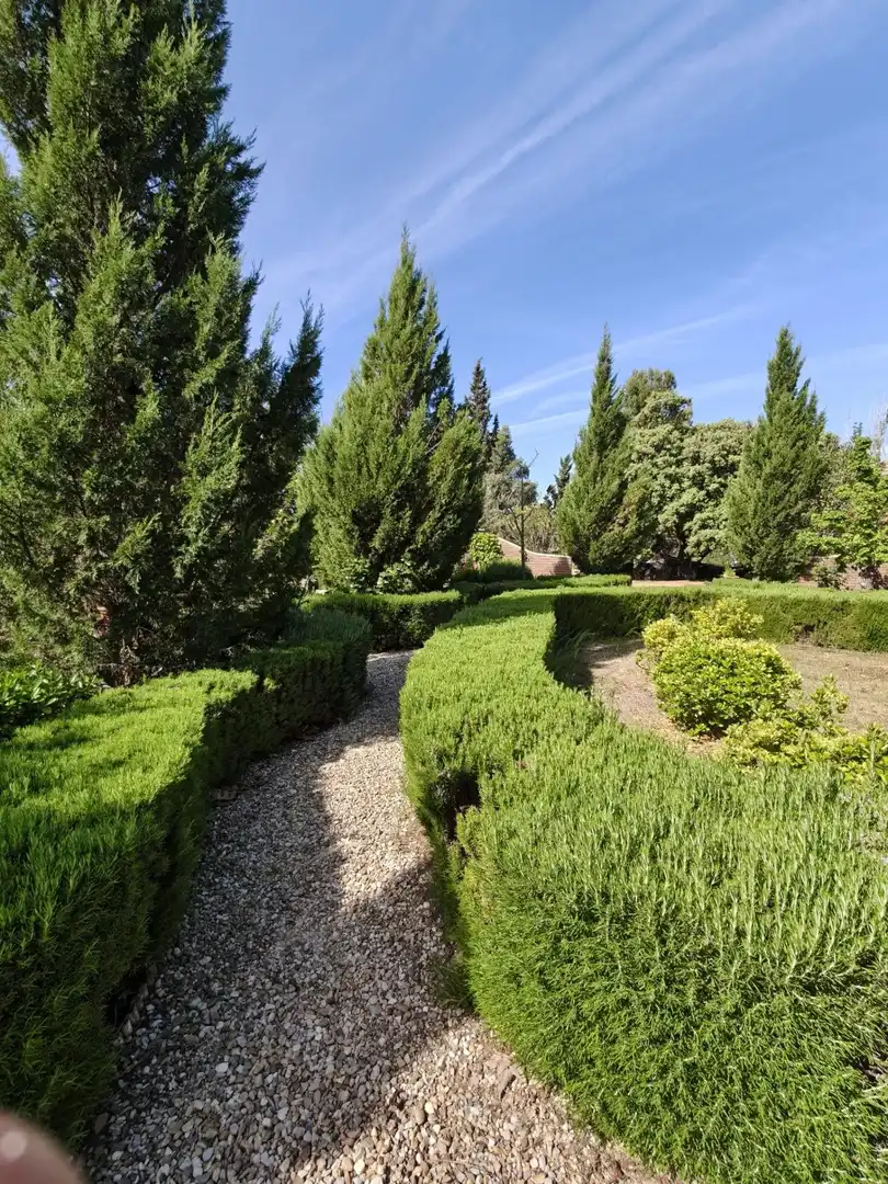 Chalet en venta en CERRO PALOS poligono 45 parcela 63, imagen 8