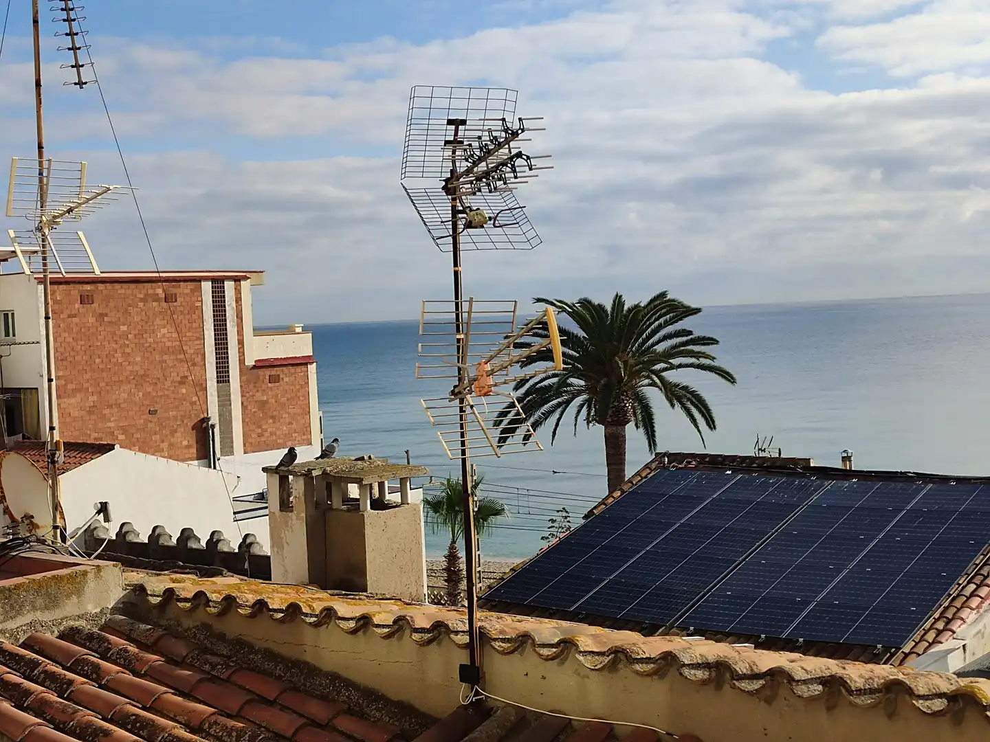 Estudio en venta en Carrer Camí Ral, Montgat