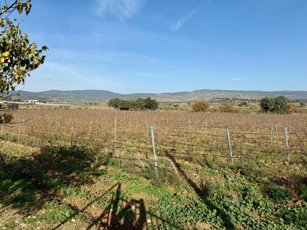 Casa o chalet en venta en Villa del Prado