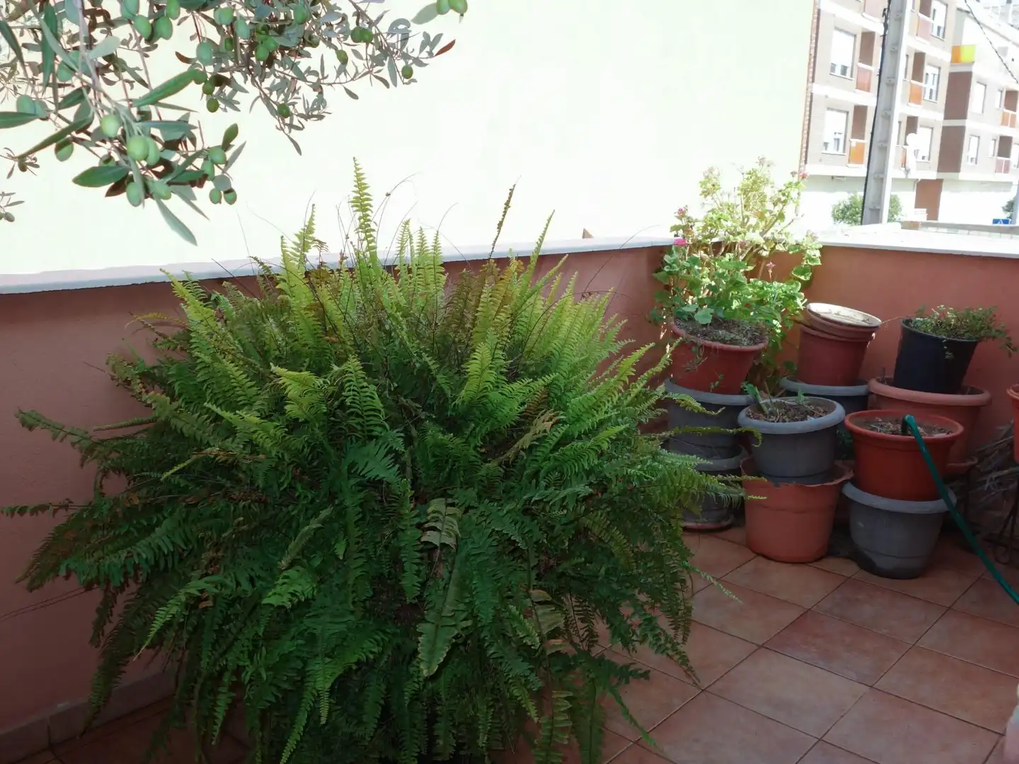 Maison mitoyenne avec terrasse à vendre à Les Boqueres - Santa Quiteria, imagen 31