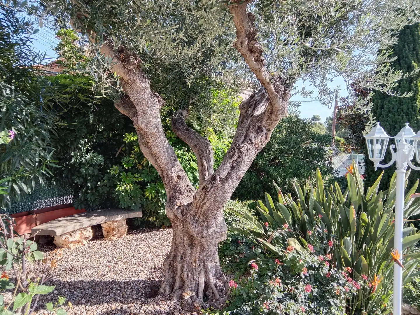 Haus mit Pool zum Verkauf in Santa Susanna, imagen 32