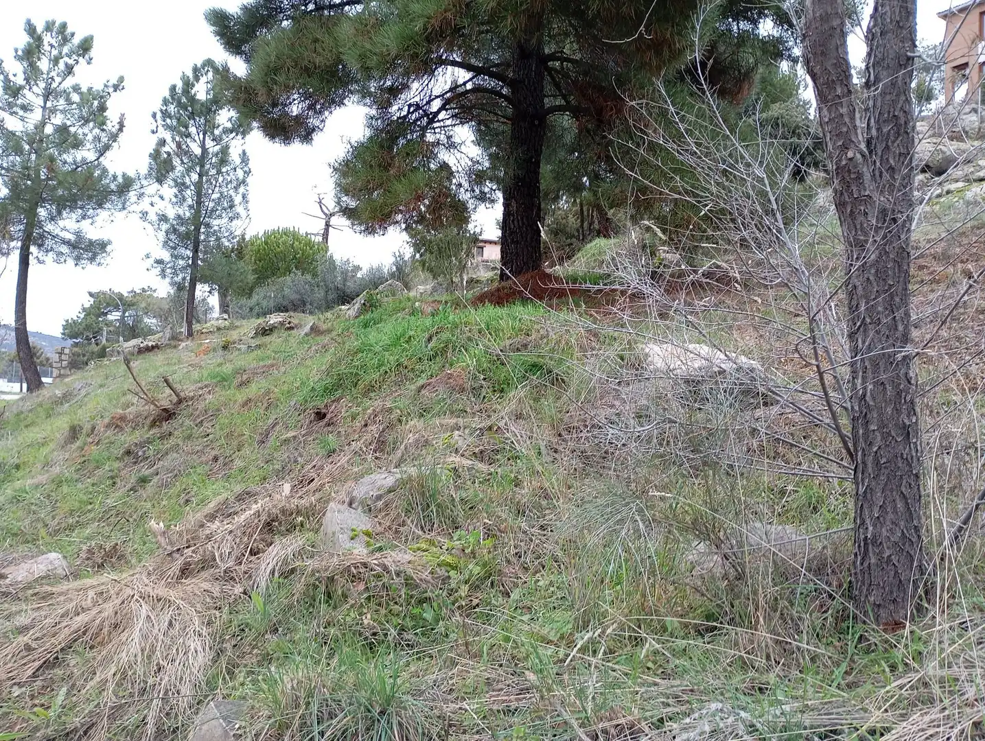 Terreni e lotti in vendita a Robledo de Chavela, imagen 19