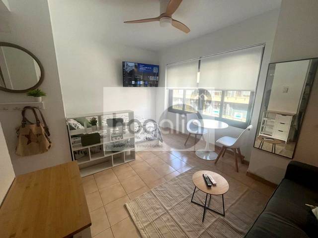 Estudio en Alquiler en Triana Este