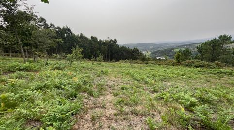 Terreno amplio de 65.000 m2 es en su gran mayoria monte., immagine 4