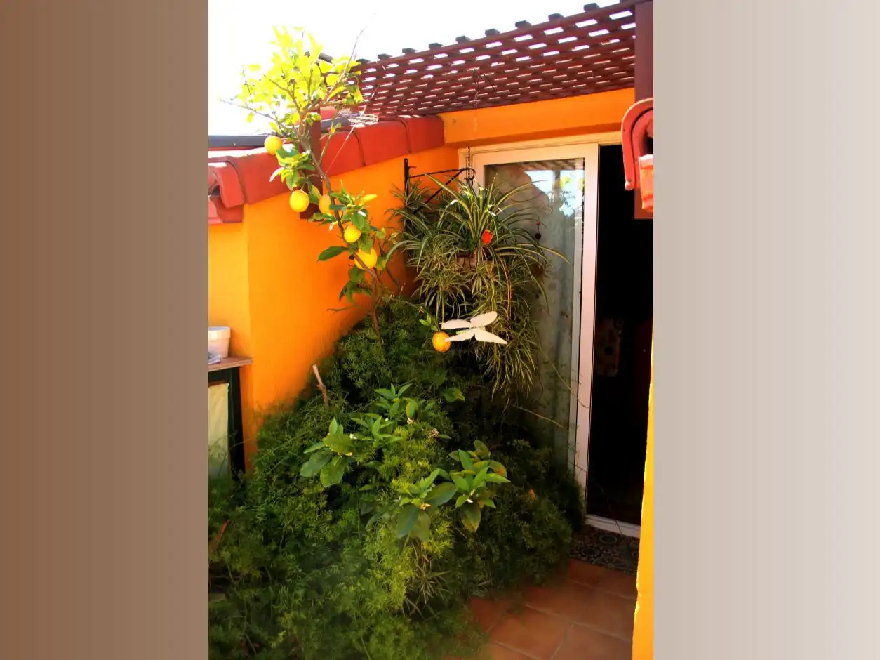 Dúplex con ascensor en venta en Carrer del Castell 34, imagen 60