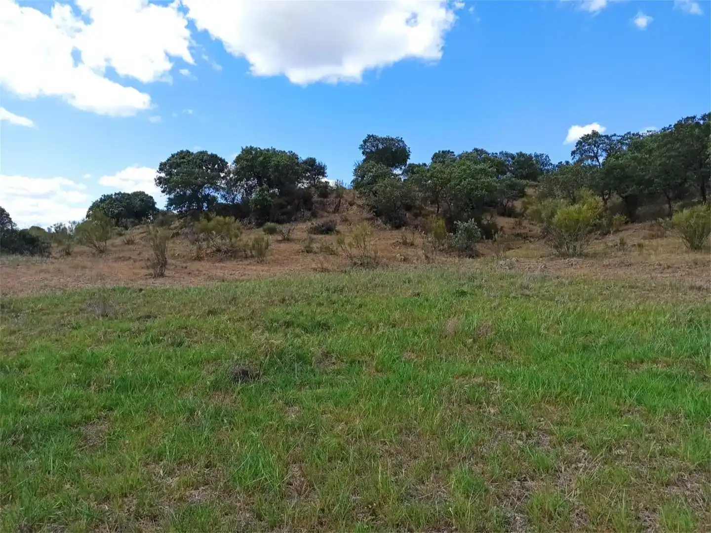 Land for sale in Jaraicejo, Cáceres