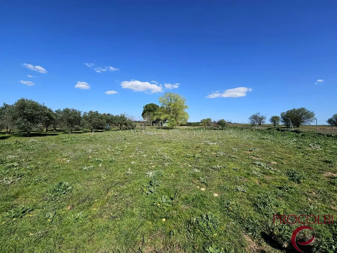 Terreno en venta en Valdeolmos-Alalpardo