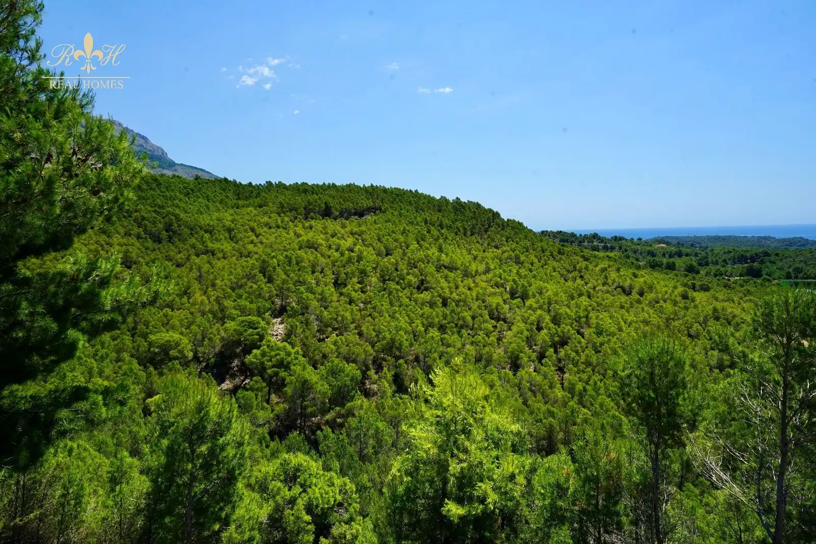 Detached house for sale in Altea la Vella, imagen 2