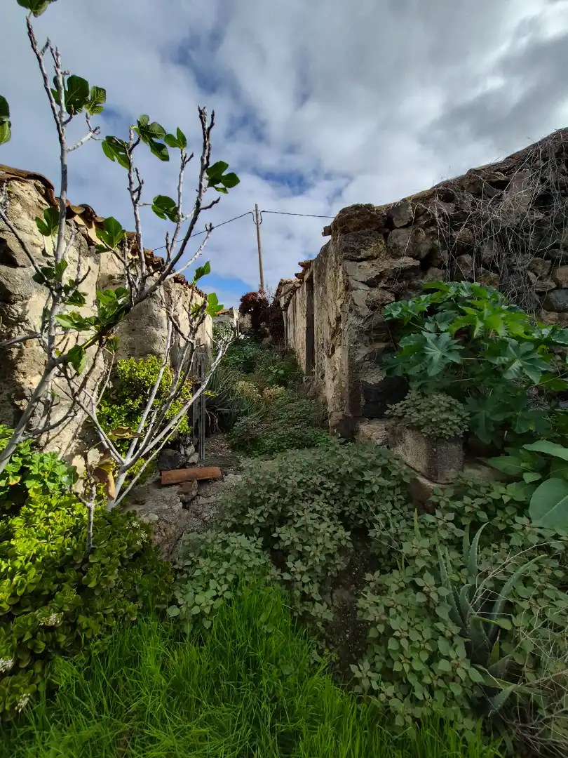 Rural land for sale in Camino la Cueva del Rey, imagen 35