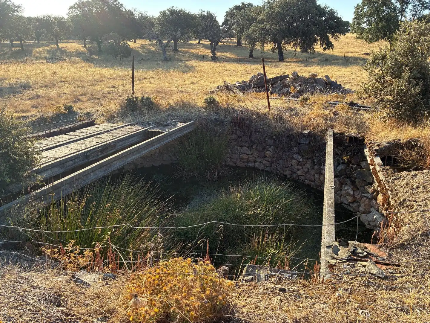 Rural land for sale in Mohedas de la Jara, imagen 9
