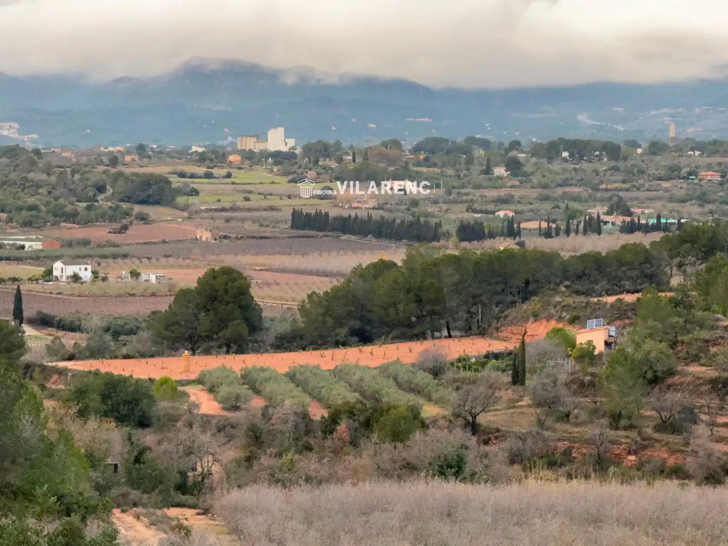 Terrain rustique à vendre à Vallmoll, imagen 14
