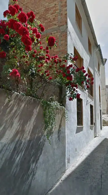 Houses for sale in Segorbe