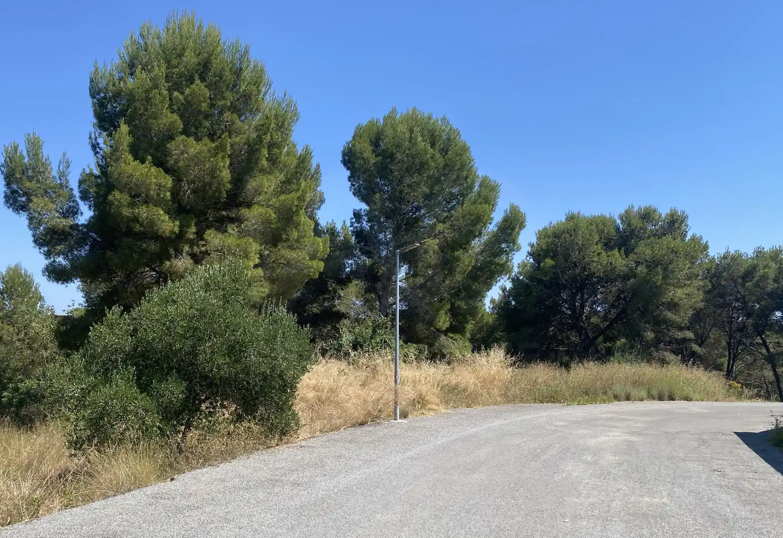 Residential land for sale in Urbanitzacions de Llevant, imagen 31