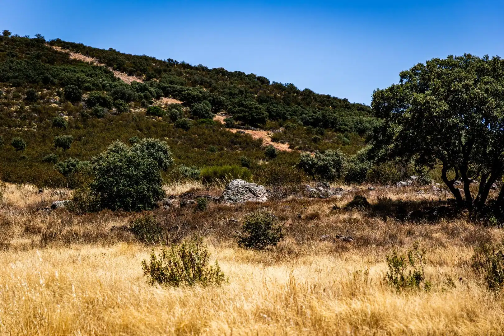 Terreno en venta en Peñarroya-Pueblonuevo