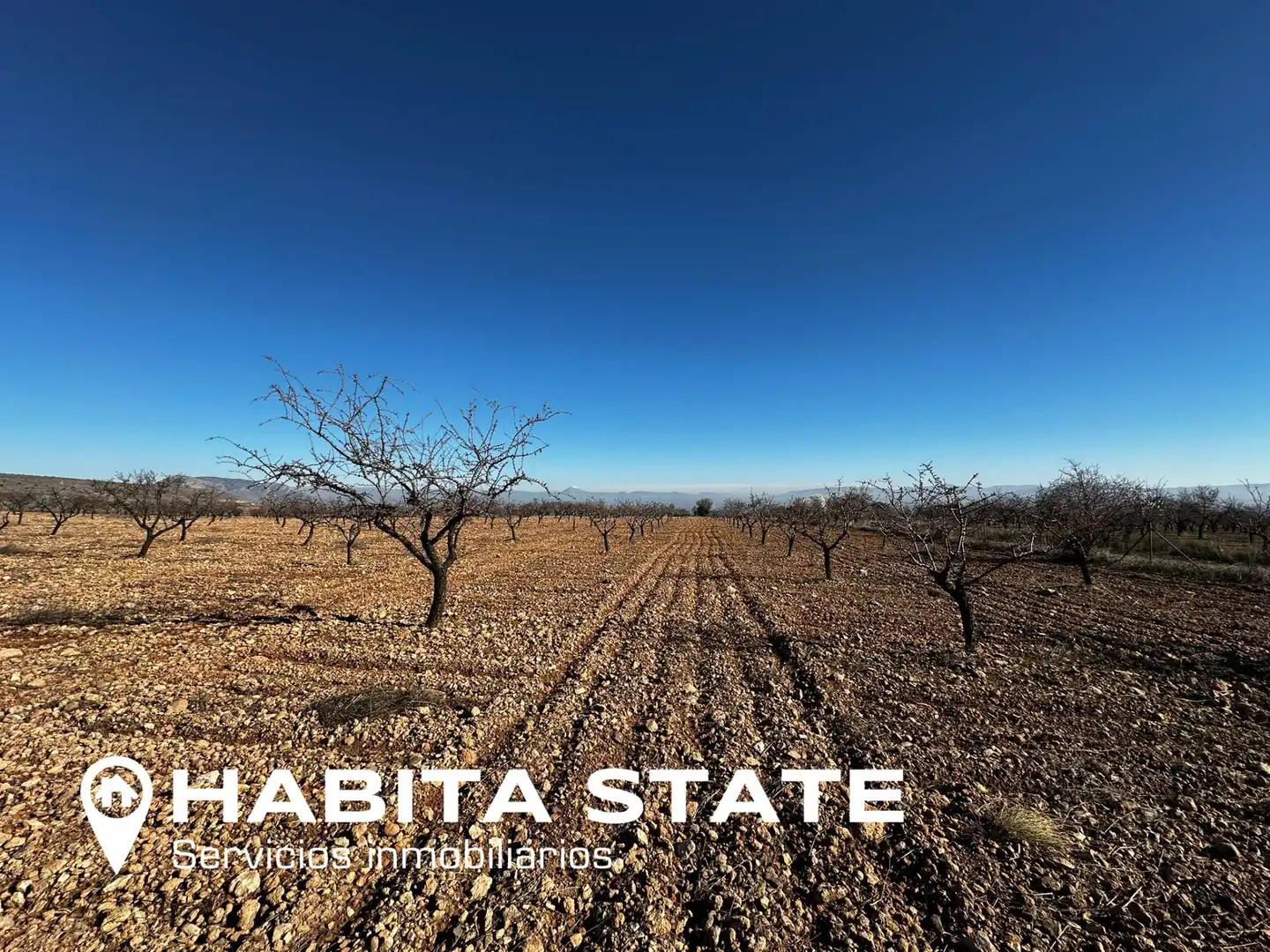 Land for sale in Baza
