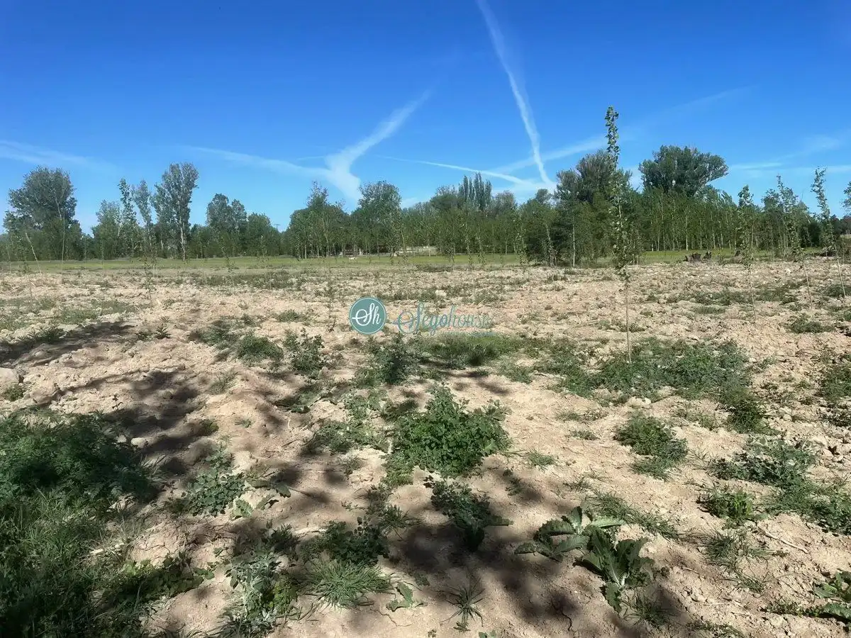 Casa o chalet en venta en Mozoncillo