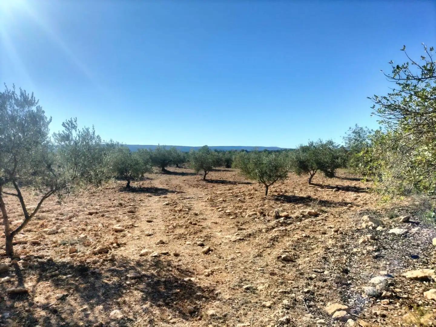 Terreno rustico in vendita a Polígono 7 Parcela 82 LOMA FERRER. NAVARRES (VALE 7