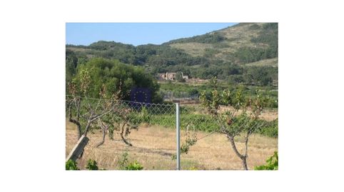 FINCA RÚSTICA DE UNAS 5 HECTÁREAS EN LA ZONA DE CÁCERES, imatge 2