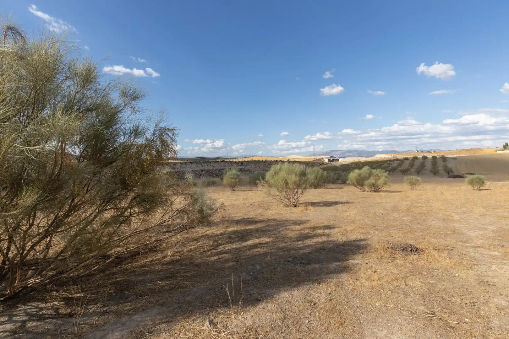 Lands and plots for sale in Polígono Polígono 6 Parcela 17 CAÑADA ESPARRAGAL. VILLA D 6, imagen 15
