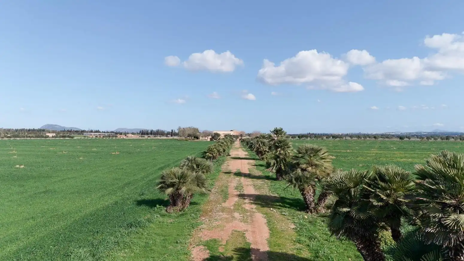 Maison avec jardin à vendre à Inca - Carrer del Rei, imagen 40