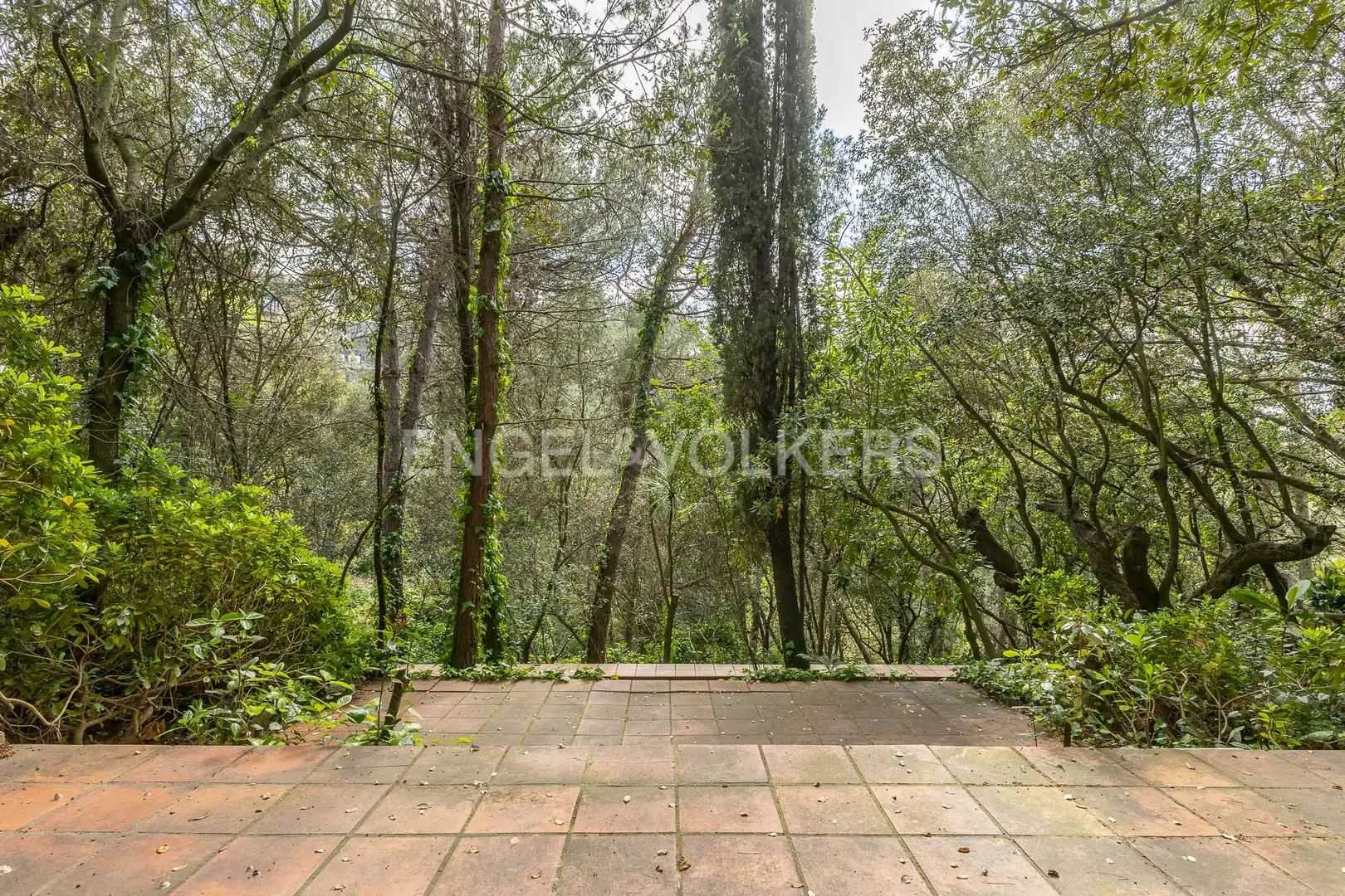 Vista exterior de Casa o chalet en venta en Barcelona con Calefacción, Jardín privado y Terraza