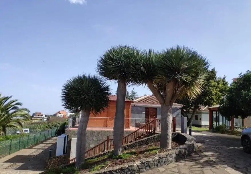 Vista exterior de Edificio en venta en Los Realejos